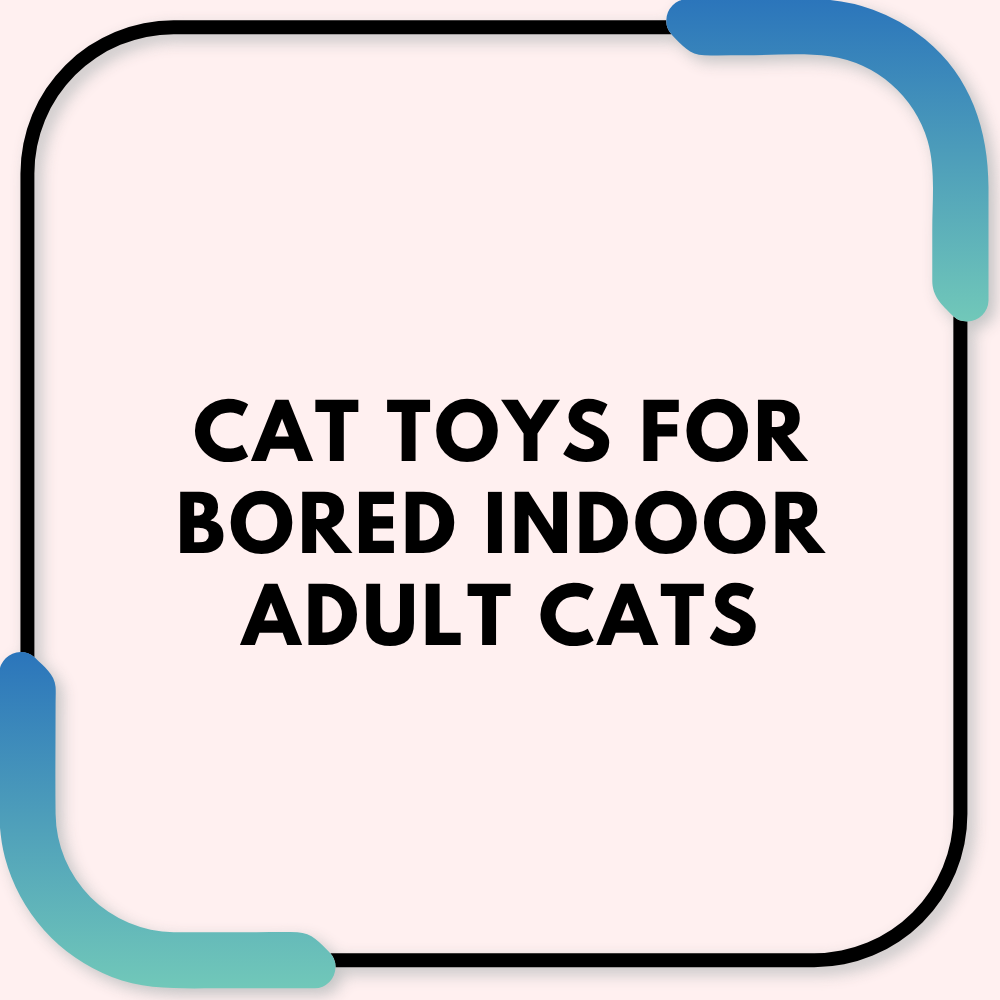 Cat toys for bored indoor adult cats