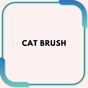 Cat brush