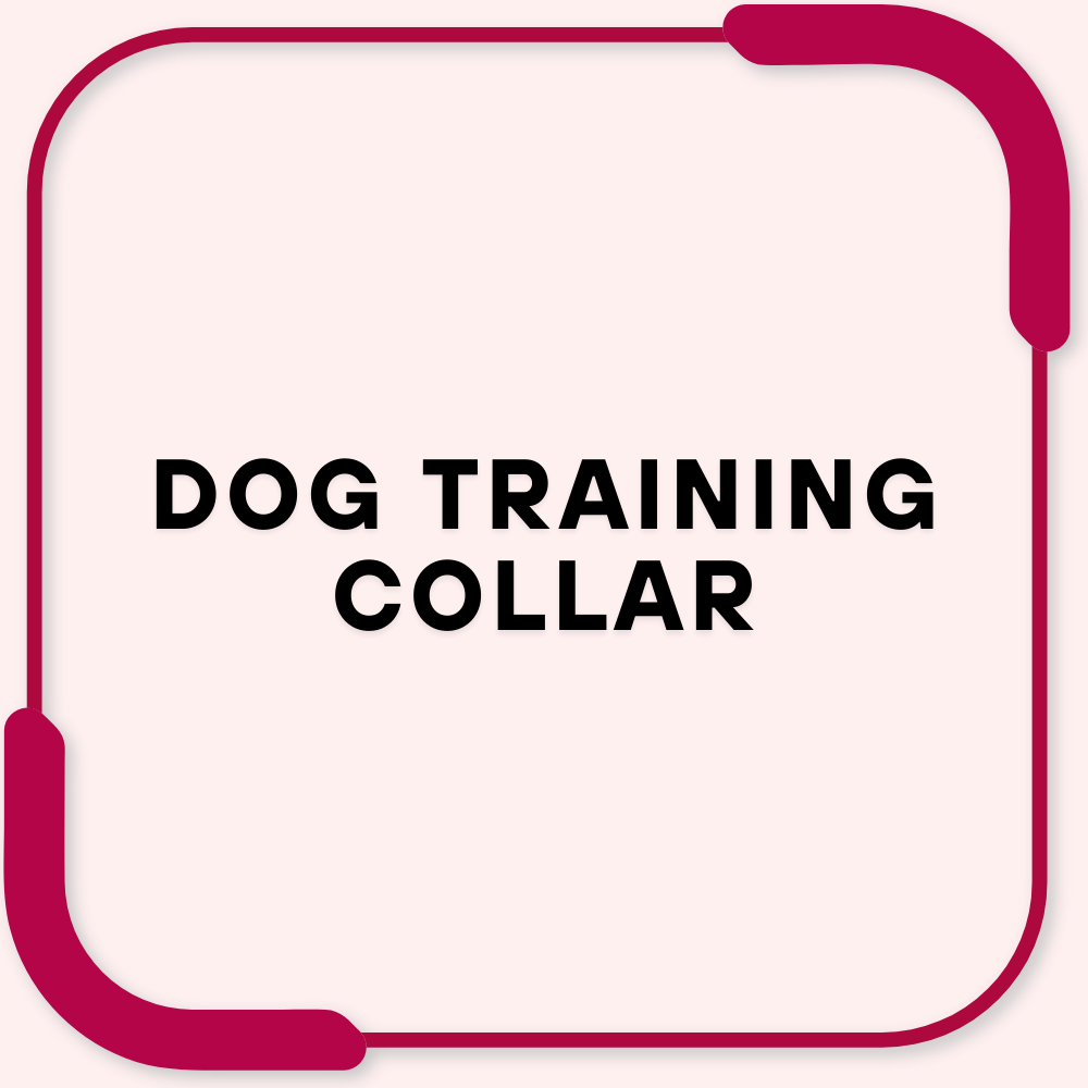 Dog Training Collar