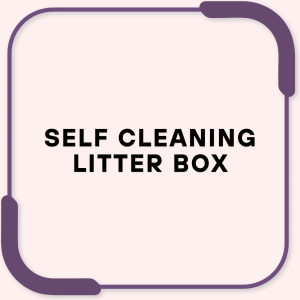 Self Cleaning Litter Box