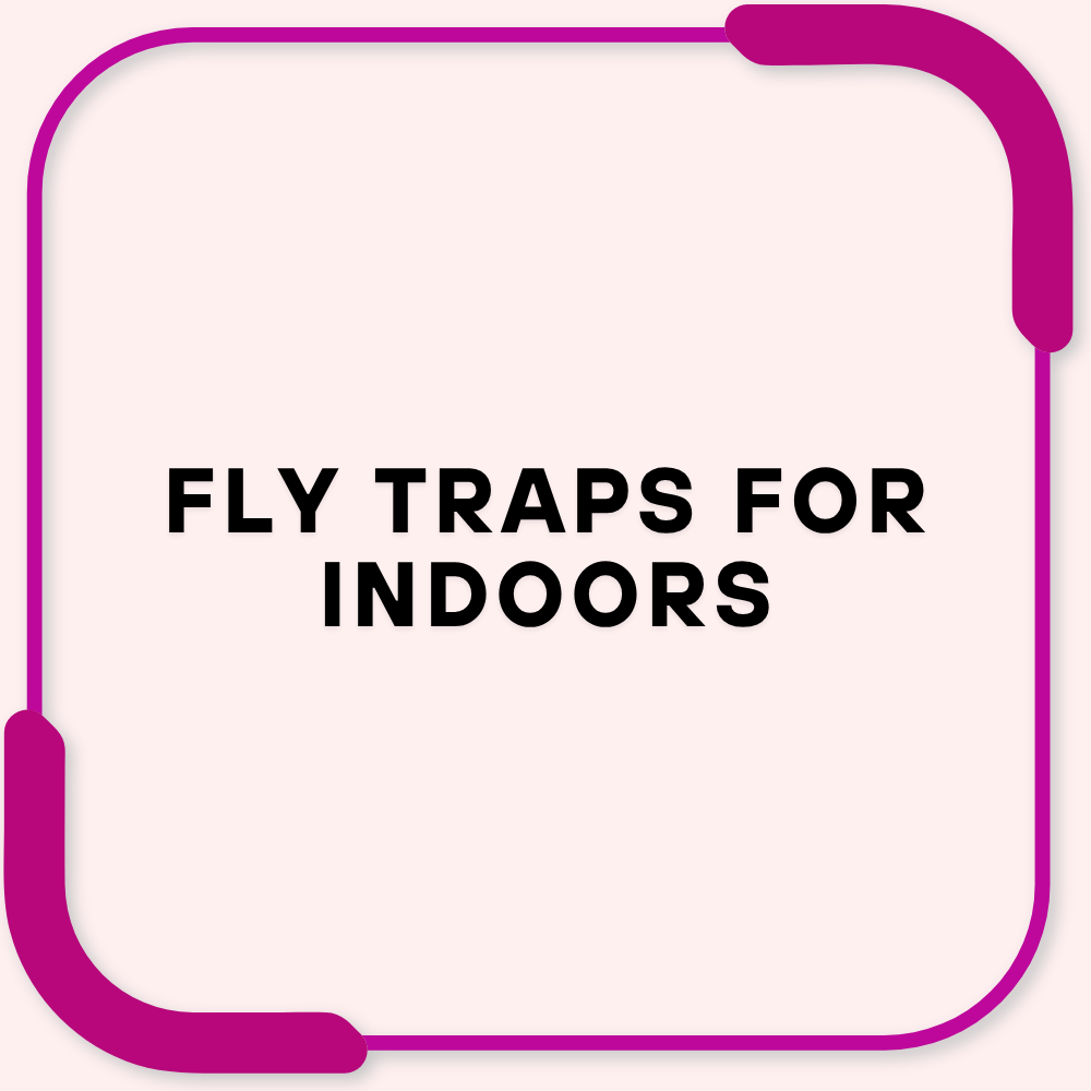 Fly Traps for Indoors