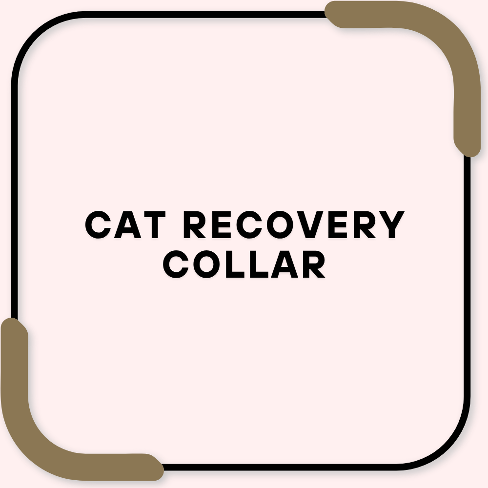 Cat Recovery Collar