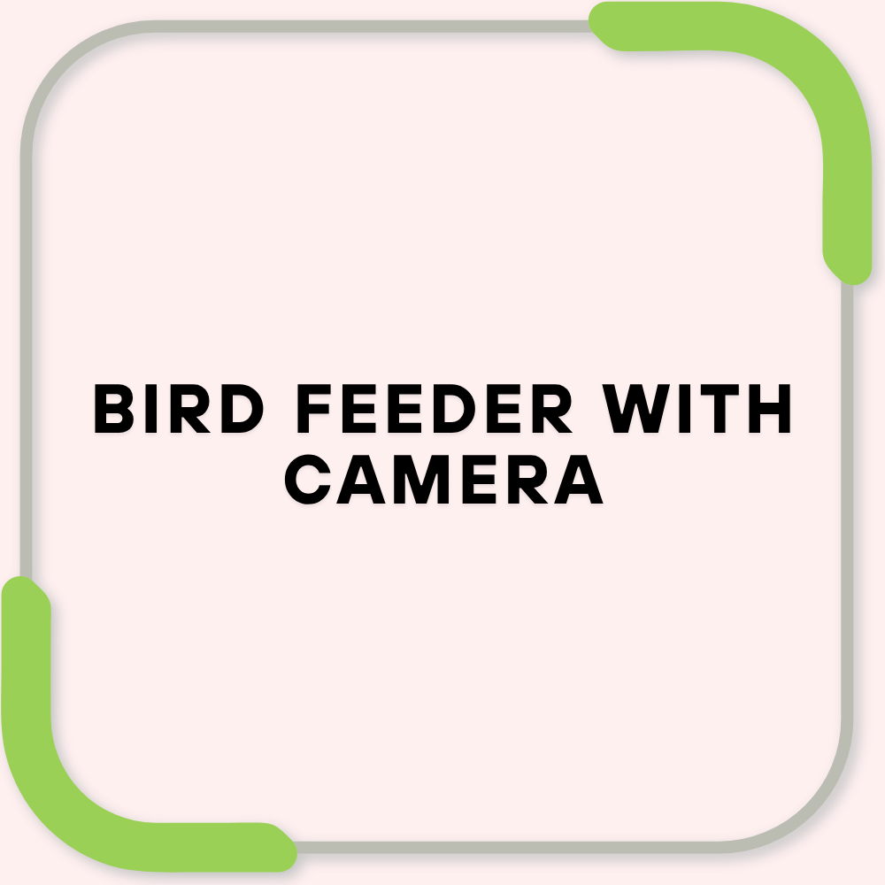 Bird Feeder with Camera