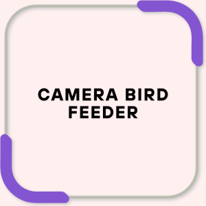 Camera Bird Feeder