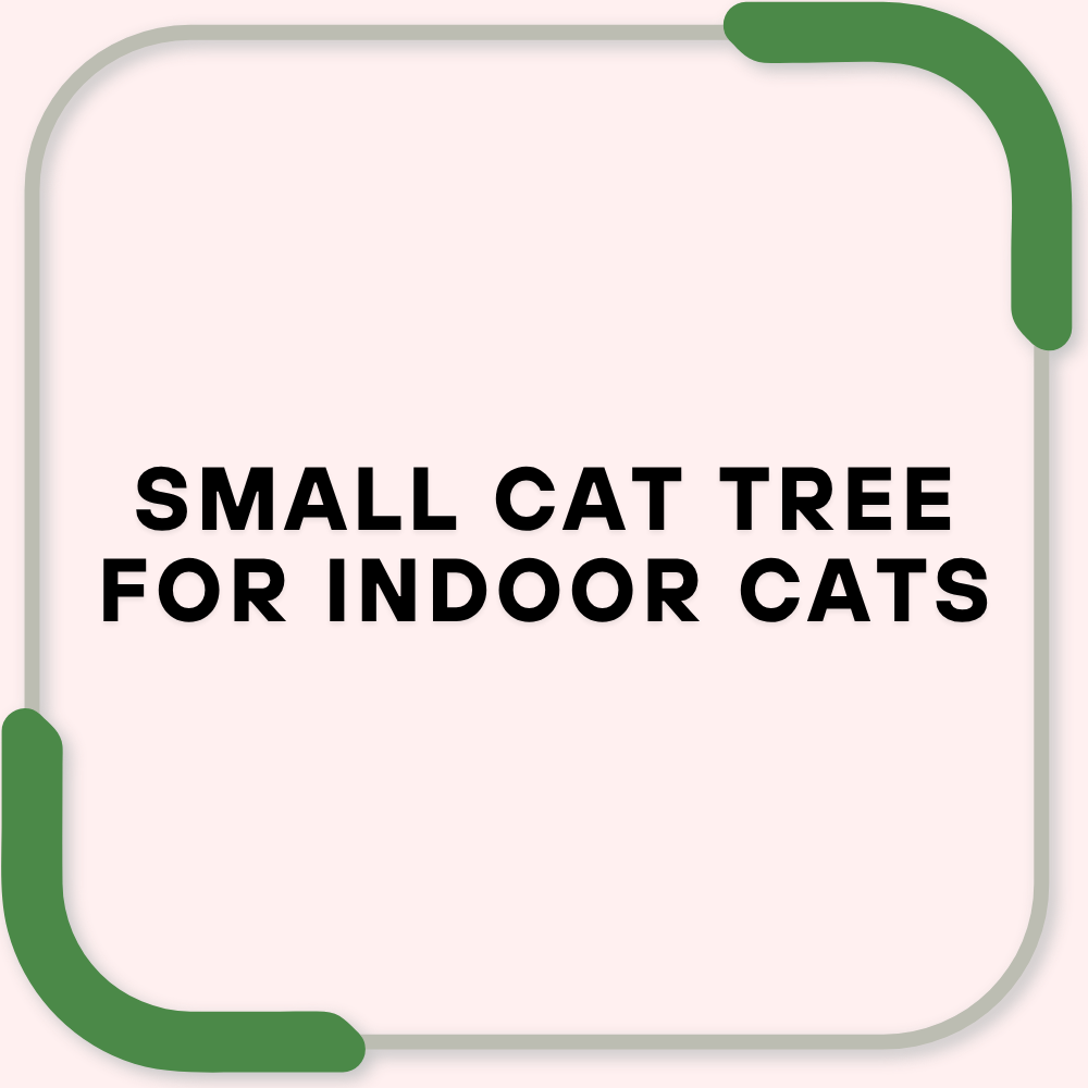 Small Cat Tree for Indoor Cats