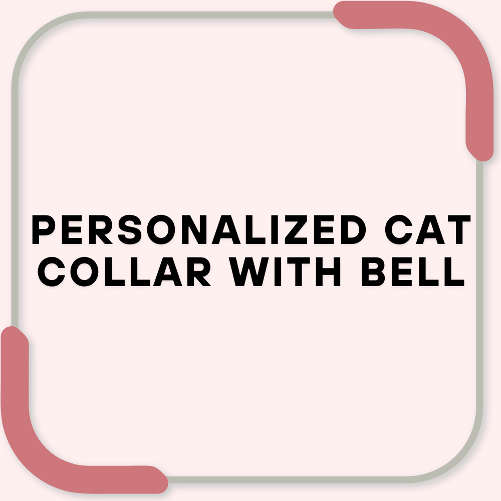 Personalized Cat Collar with Bell