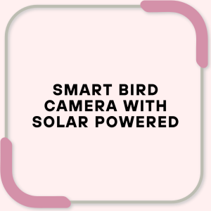 Smart Bird Camera with Solar Powered