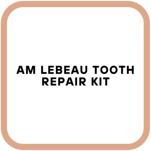 AM Lebeau tooth repair kit