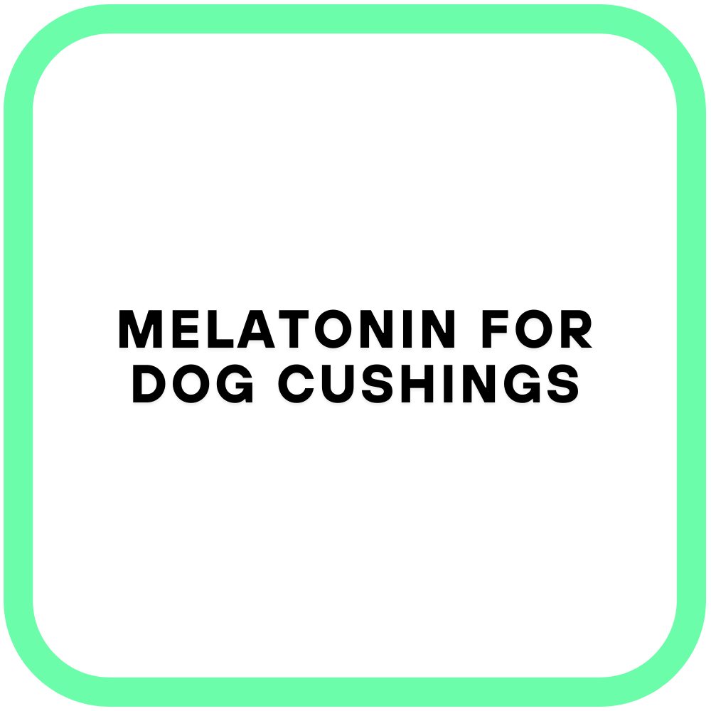 Melatonin for Dog Cushings