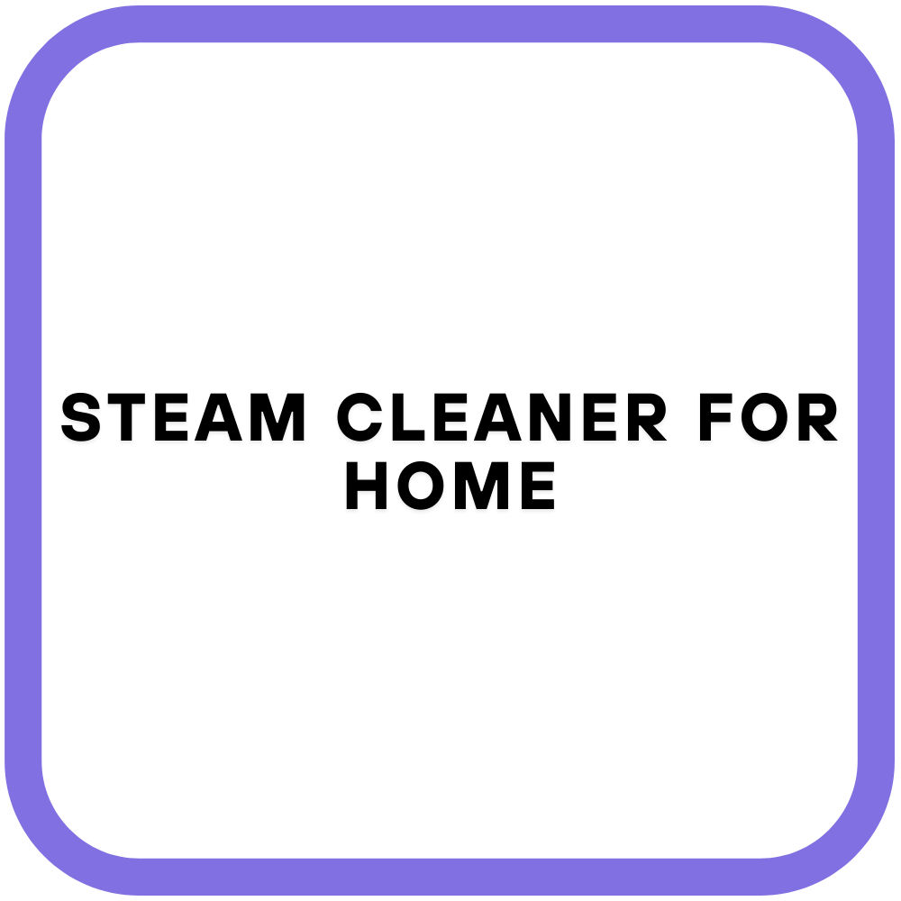 Steam Cleaner for Home