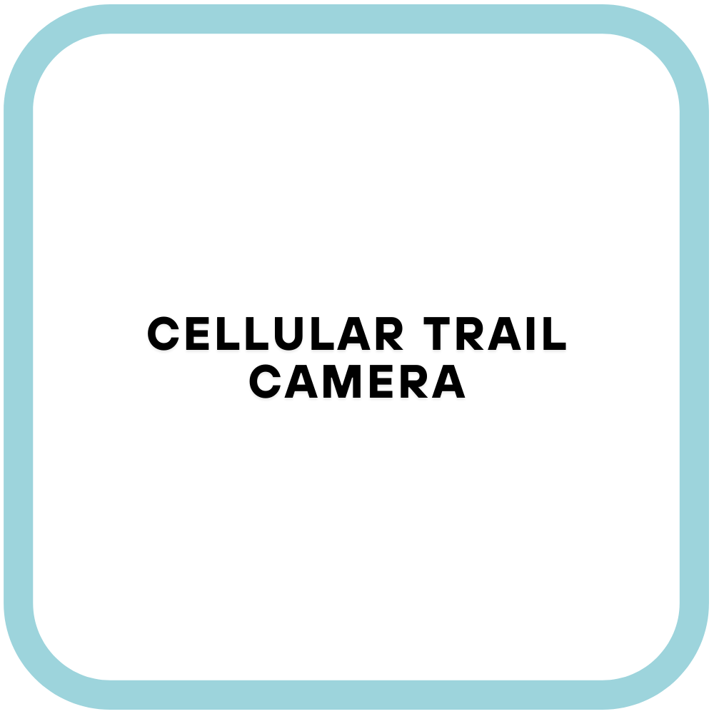 Cellular trail camera