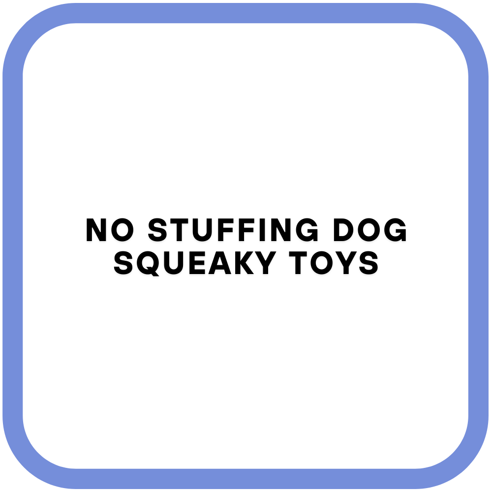 No Stuffing Dog Squeaky Toys