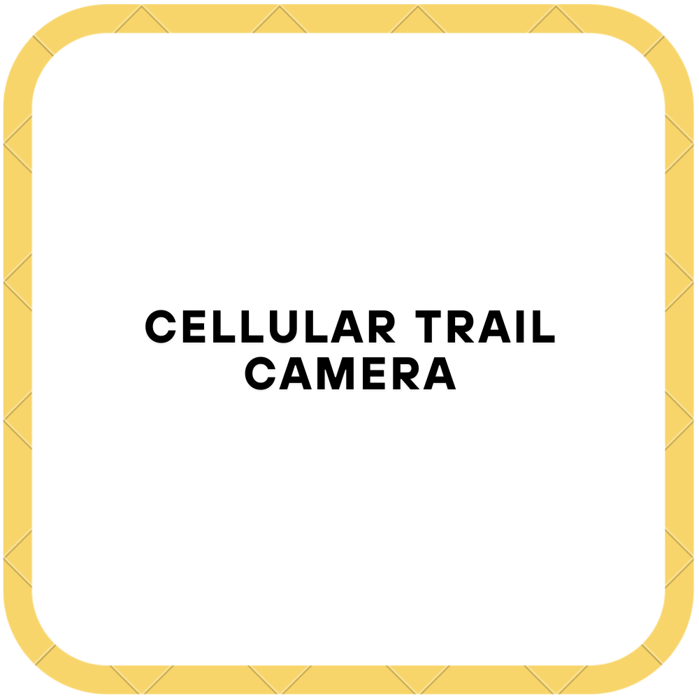 Cellular Trail Camera