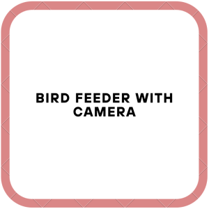 Bird Feeder with Camera