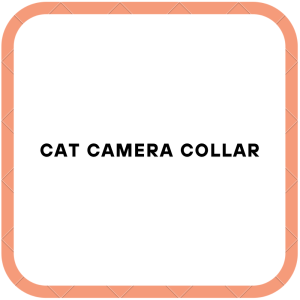 Cat Camera Collar