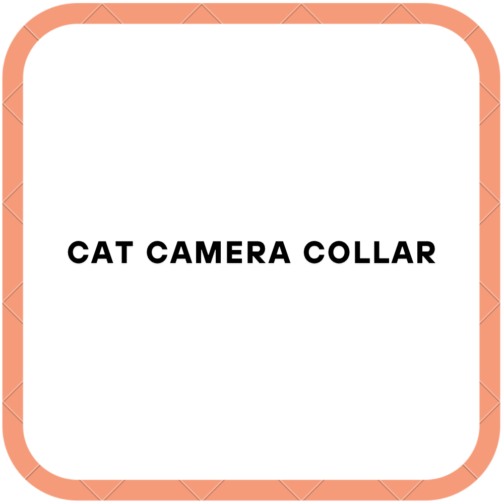 Cat Camera Collar