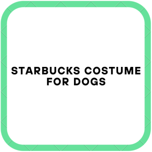 Starbucks Costume For Dogs