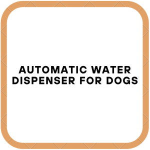 Automatic Water Dispenser For Dogs