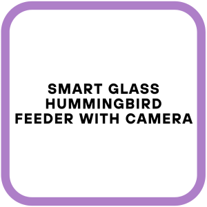 Smart Glass Hummingbird Feeder with Camera