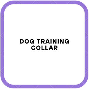 Dog Training Collar