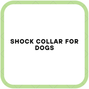 Shock Collar For Dogs