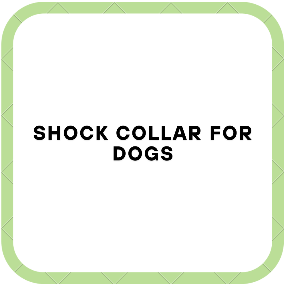 Shock Collar For Dogs