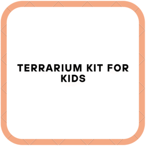 Terrarium Kit For Kids