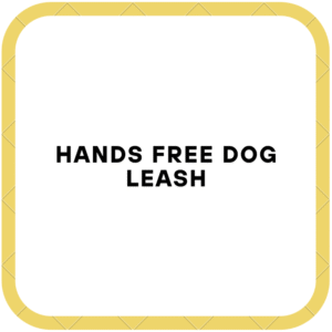 Hands free dog leash