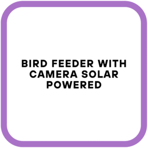 Bird Feeder with Camera Solar Powered