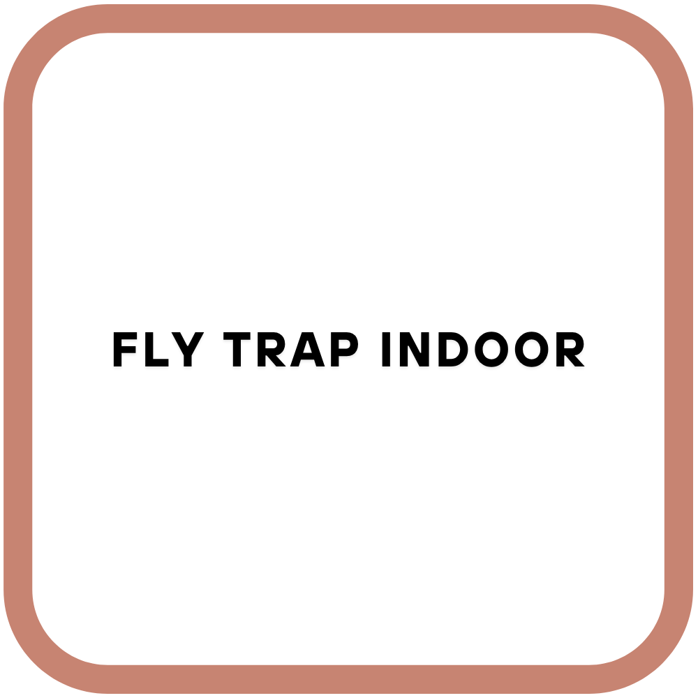 Fly Trap Indoor