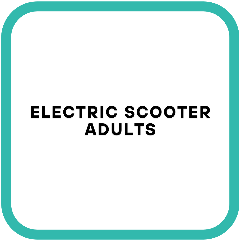 Electric Scooter Adults
