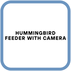 Hummingbird Feeder with Camera