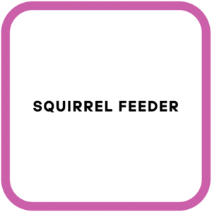 Squirrel Feeder
