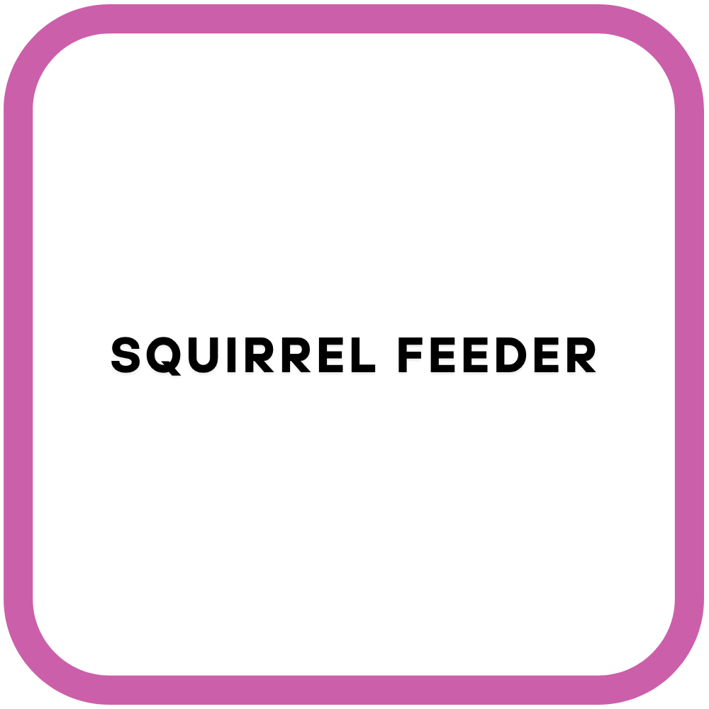 Squirrel Feeder