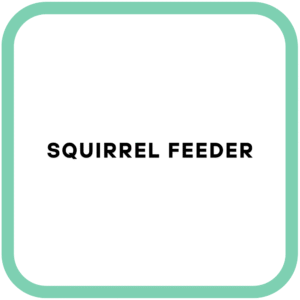 Squirrel Feeder