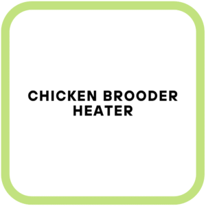 Chicken Brooder Heater