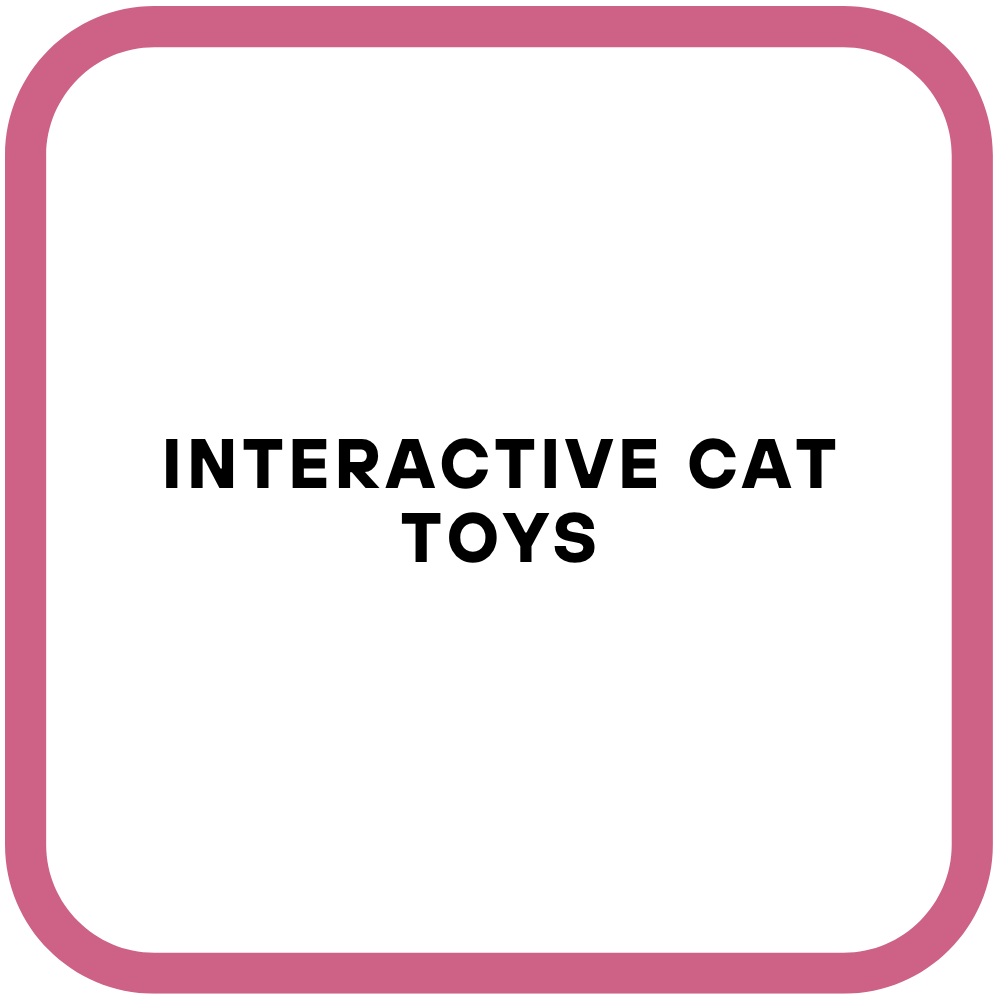 Interactive Cat Toys