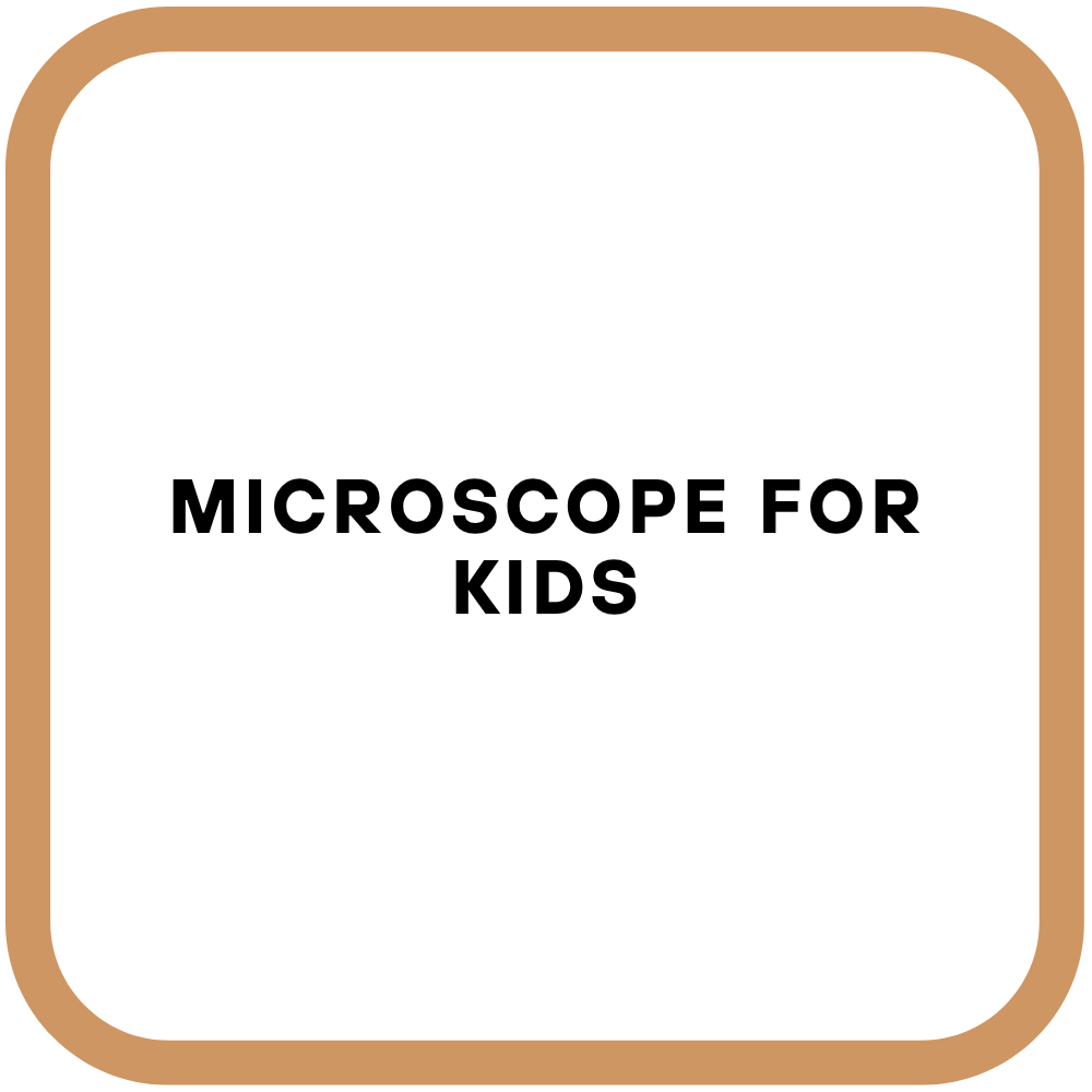 Microscope for Kids