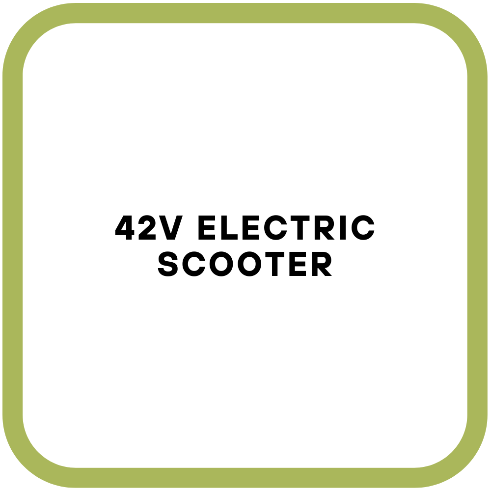 42V Electric Scooter