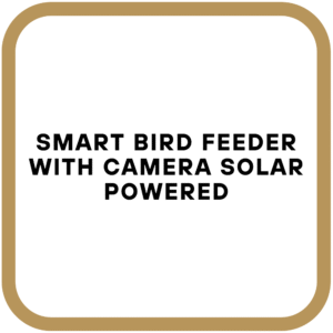 Smart Bird Feeder with Camera Solar Powered