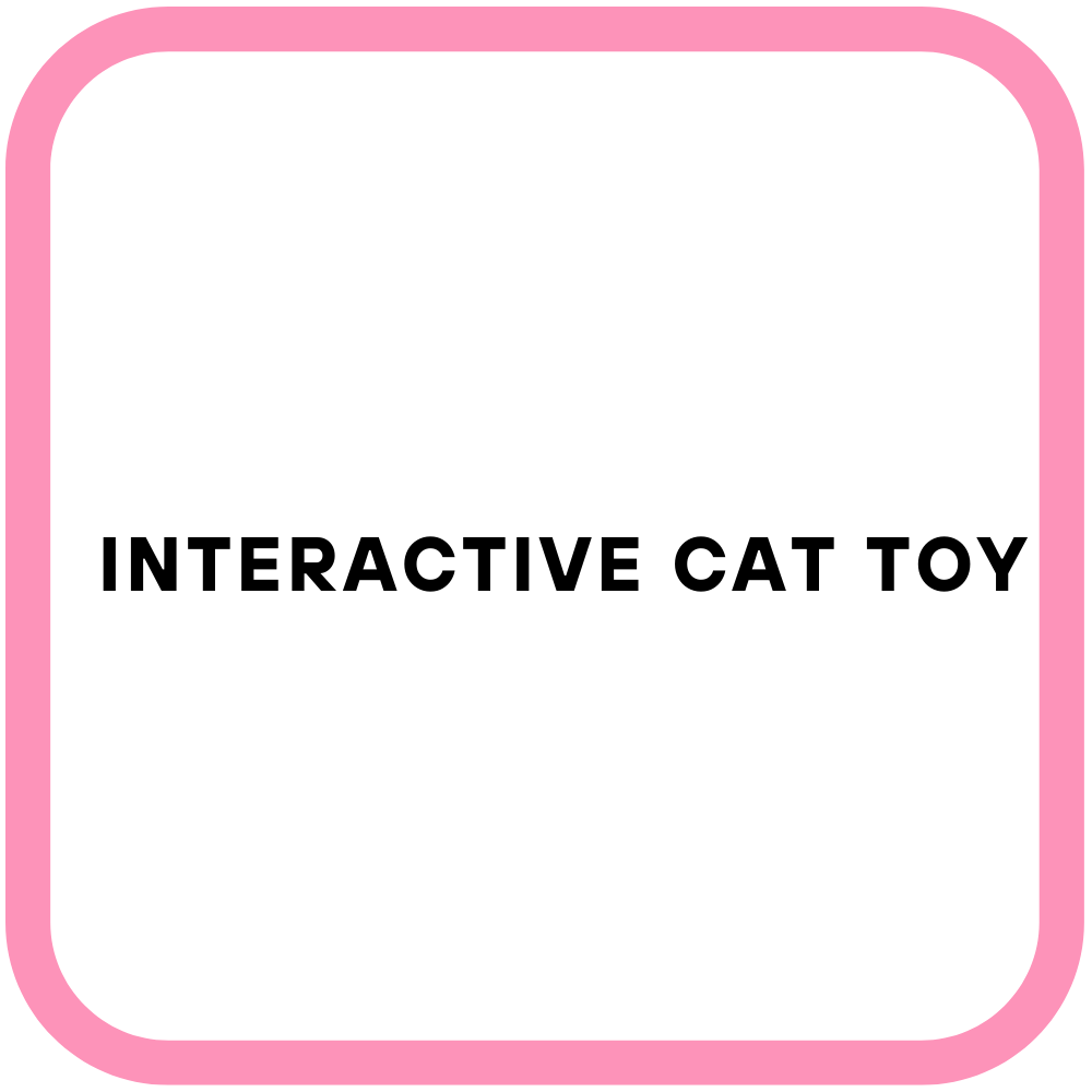 Interactive Cat Toy