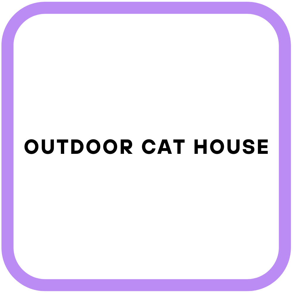Outdoor Cat House