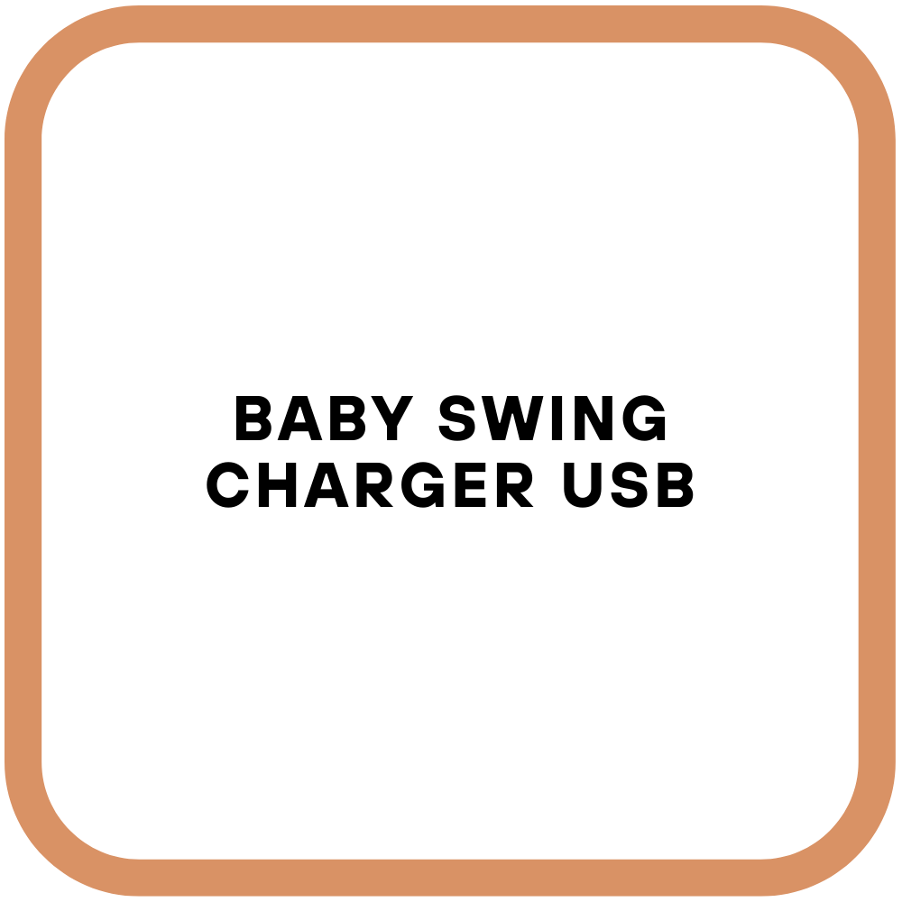 Baby Swing Charger USB