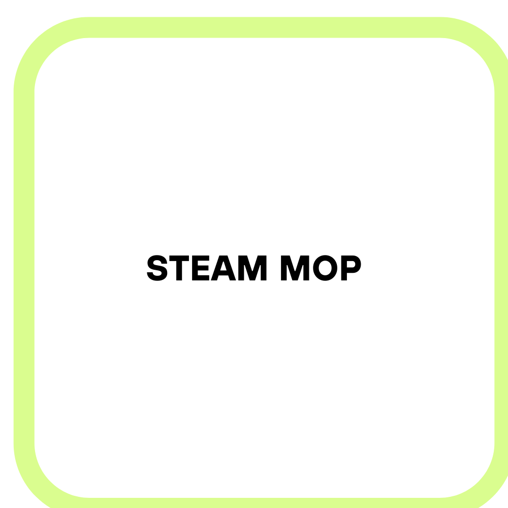 steam mop