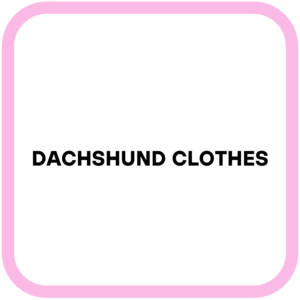 Dachshund Clothes