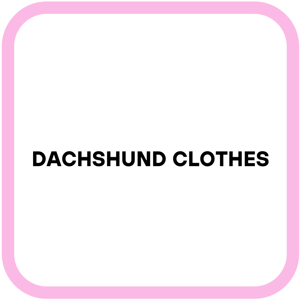 Dachshund Clothes