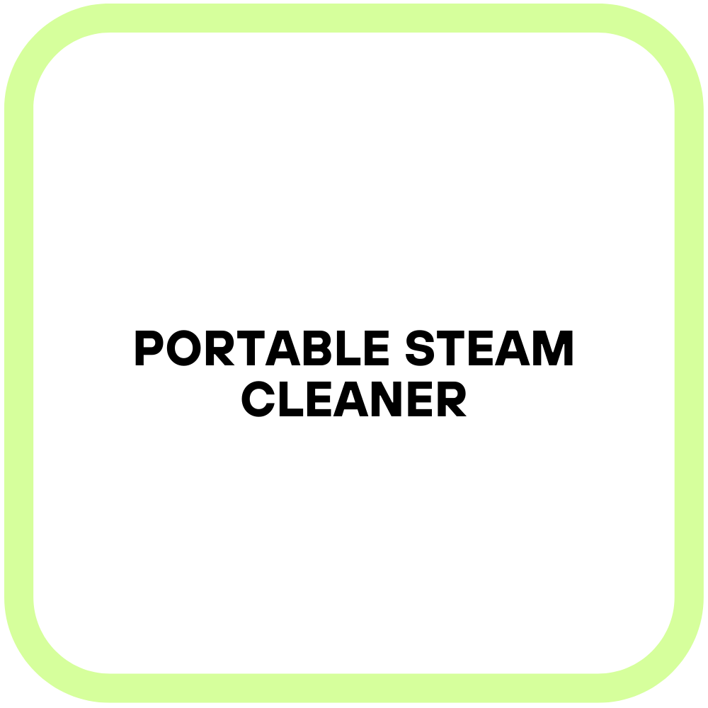 Portable Steam Cleaner