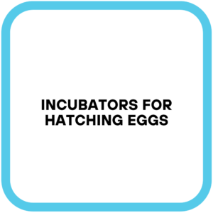 Incubators for Hatching Eggs