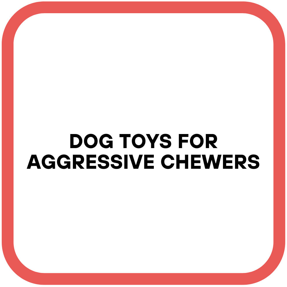 Dog Toys for Aggressive Chewers