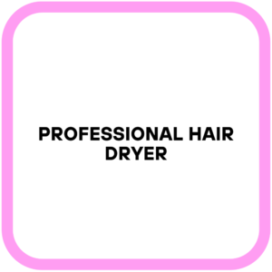 Professional Hair Dryer